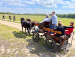 Familieuitje Mosselse Veld 